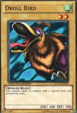 Droll Bird.jpg