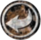 Konter.png