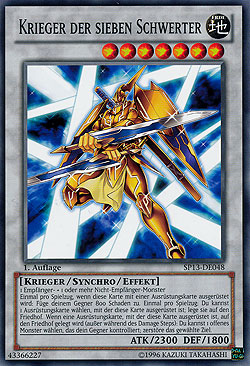 Seven Swords Warrior.jpg