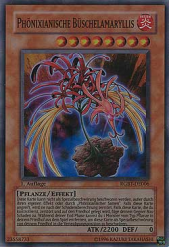 Phönixianische Büschelamaryllis.png