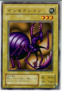 Alinsection.jpg