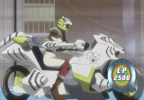 TeamWTD-Wheel.jpg