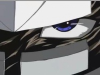 Zones Auge.jpg