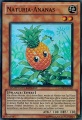 Naturia-Ananas HASE-SE.jpg