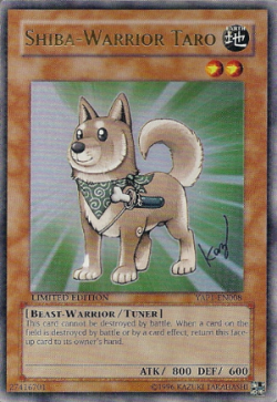 ShibaWarriorTaro.png