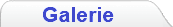 galerieKnopf2.png